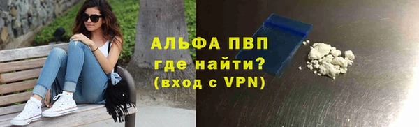 сатива Россошь