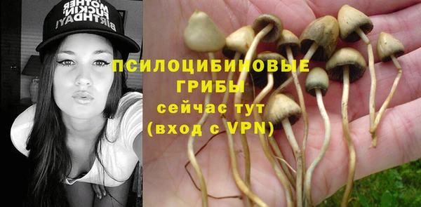 а пвп мука Армянск