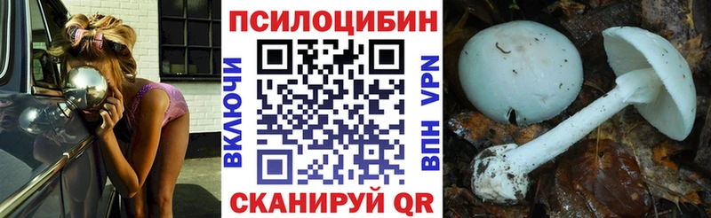 Галлюциногенные грибы мицелий  это клад  Бабаево  сколько стоит 
