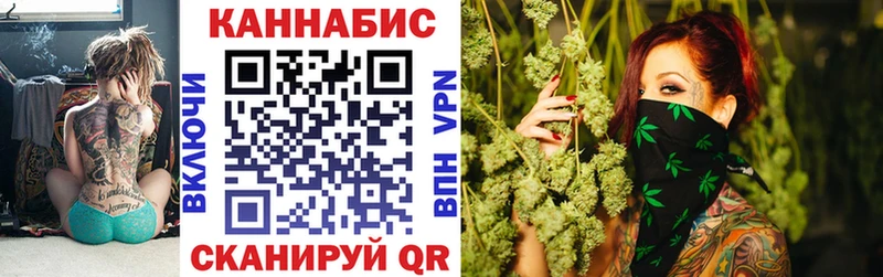 Конопля тримм  где найти наркотики  Бабаево 